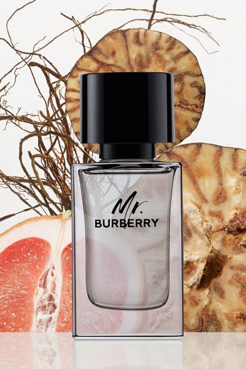 Άρωμα Burberry Mr. Burberry EDT 50 mlIVET.EU - Εκπτώσεις έως -80%