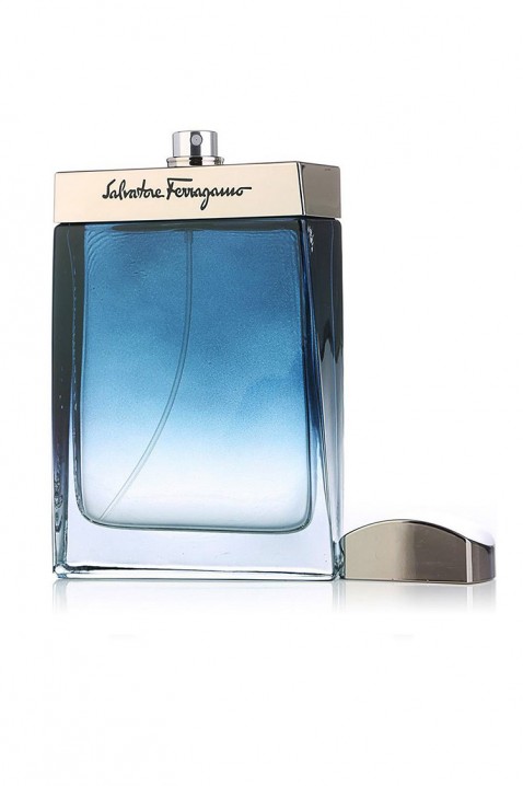 Parfém Salvatore Ferragamo Subtil Pour Homme EDT 100 mlIVET.EU - Stylové oblečení