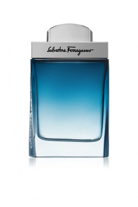 Parfém Salvatore Ferragamo Subtil Pour Homme EDT 100 mlIVET.EU - Stylové oblečení