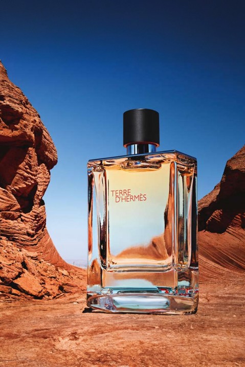 Parfém Hermes Terre D`Hermes EDT 100 mlIVET.EU - Stylové oblečení