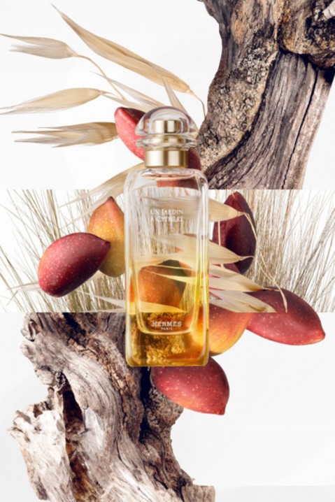 Άρωμα Hermes Un Jardin a Cythere EDT 100 mlIVET.EU - Εκπτώσεις έως -80%