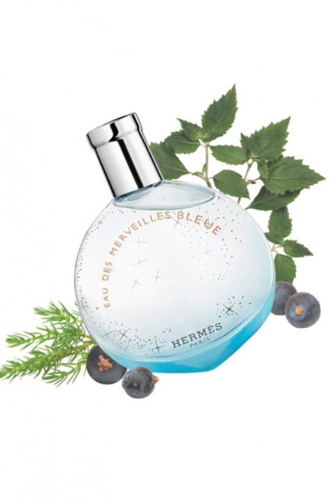 Άρωμα Hermes Eau Des Merveilles Bleue EDT 50 mlIVET.EU - Εκπτώσεις έως -80%