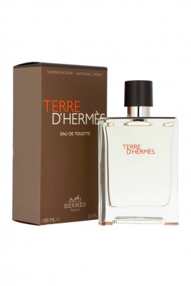 Parfém Hermes Terre D`Hermes EDT 100 ml